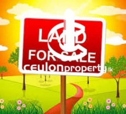 Land for Sale in Padukka - 15 Perches Valuable Land For Sale In Padukka Uggalla