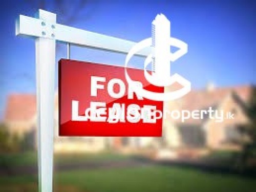 House for Rent in Nugegoda - 40 Perches Land with Old House For Lease In Nugegoda Udahamulla