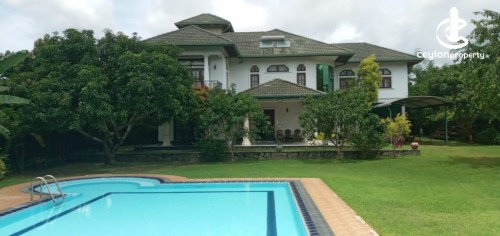 House for Rent in Kochchikade - Fully Furnished Two Story House For Rent In Kochchikade Mruthana Road
