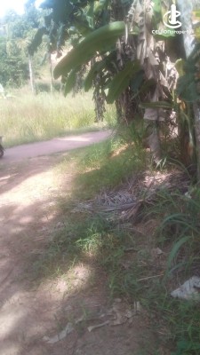 Land for Sale in Mirigama - 70 Perches Valuable Land For Sale In Mirigama