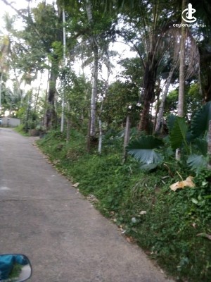 Land for Sale in Padukka - 42 Perches Land For Sale In Padukka Mawathagama