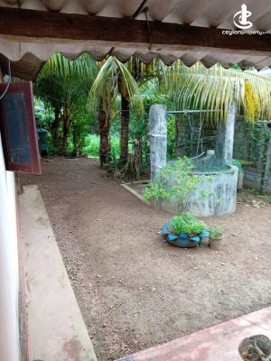 House for Sale in Kandana - Single Storied House For Sale In Kandana