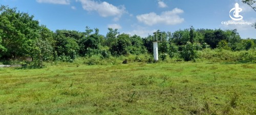 Land for Sale in Madurankuliya - 4 Acre Land With House For Sale In Madurankuliya