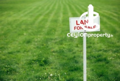 Land for Sale in Mirigama - 57 Perches Land For Sale In Mirigama Hakurukubura
