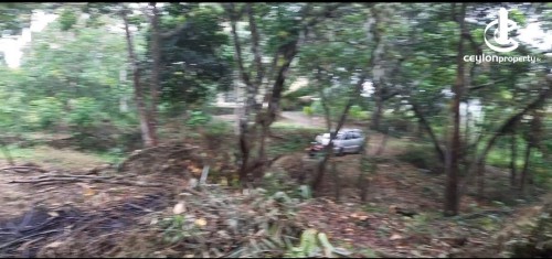 Land for Sale in Homagama - Land for Sale in Homagama