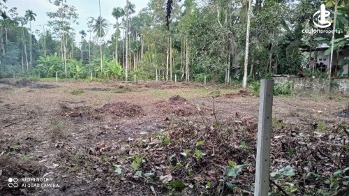 Land for Sale in Bandaragama - Bare Land for Sale – Bandaragama (Raigama Road)