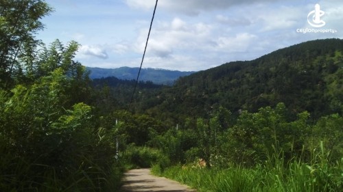 Land for Sale in Bandarawela - Land for Sale in Bandarawela