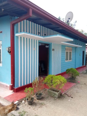 Land for Sale in Ja-Ela - Land for Sale in Ja-Ela