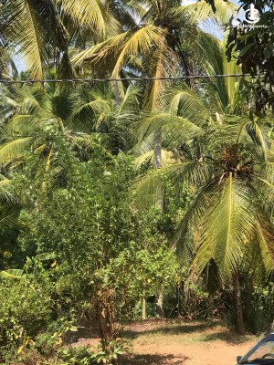 Land for Sale in Katana - Land for Sale katana Road