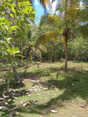 Land for Sale in Weeraketiya - Land for Sale Weeraketiya