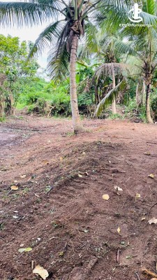 Land for Sale in Yakkala - Land for Sale in Yakkala