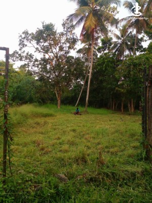 Land for Sale in Yakkala - Valuable 19 Perch Land for Sale in Yakkala – Mahawita Junction