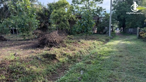 Land for Sale in Katana - Valuable Land for Sale – Katana / Negombo Area