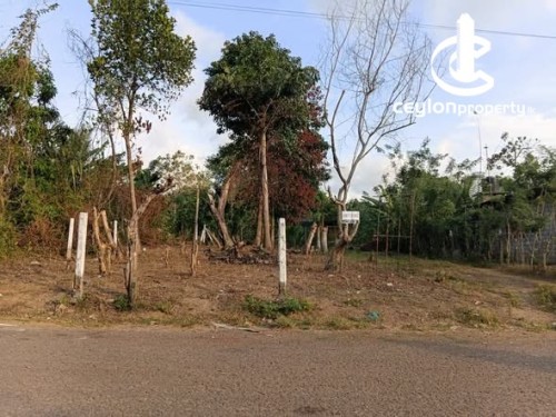 Land for Sale in Wadduwa - Valuable Land for Sale Near Wadduwa