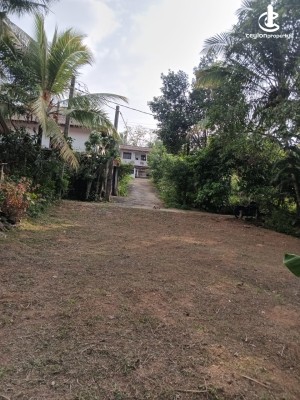 Land for Sale in Homagama - Land for Sale in Homagama – Panagoda