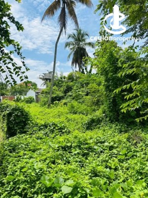 Land for Sale in Panadura - Land for Sale – Panadura