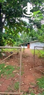 Land for Sale in Matale - Land for Sale – Near Aluwihare Town, Matale
