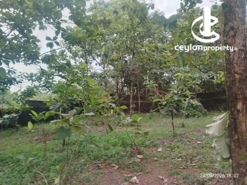 Land for Sale in Padukka - Valuable Land for Sale in Padukka – Meepe Area