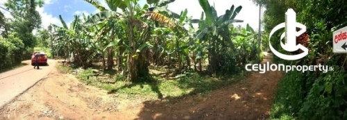 Land for Sale in Padukka - Land for Sale – Padukka (Urgent Sale)