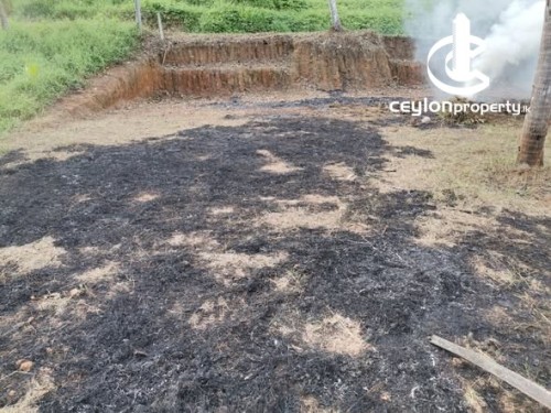 Land for Sale in Dompe - Land for Sale – Dompe