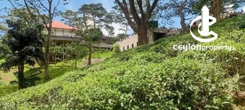 Land for Sale in Kandy - land for sale - Manikdiwela, Kirimatiya Estate