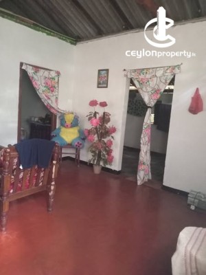 Land for Sale in Pugoda - House With Land for Sale – Pugoda