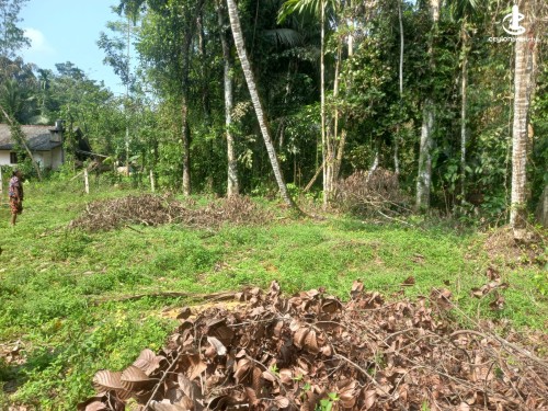 Land for Sale in Horana - Land for Sale – Horana Uduwa Road Front