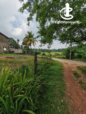 Land for Sale in Horana - Land for Sale in Horana