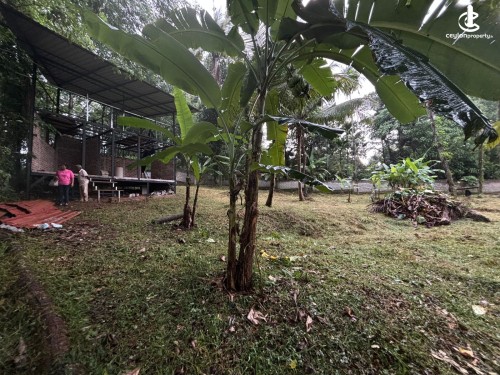 Land for Sale in Gampaha - Land for Sale in Gampaha