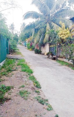 Land for Sale in Kalagedihena - Land for Sale – Kalagedihena (Near Kandy Road)