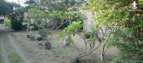 Land for Sale in Piliyandala - Valuable Residential Land for Sale – Makuluduwa, Piliyandala