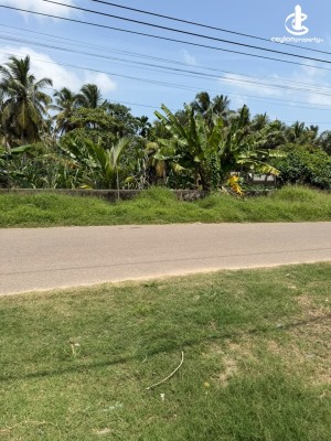 Land for Sale in Ja-Ela - House with Land for Sale in Ja-Ela
