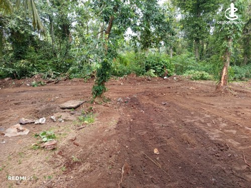 Land for Sale in Yakkala - Residential Land for Sale – Yakkala