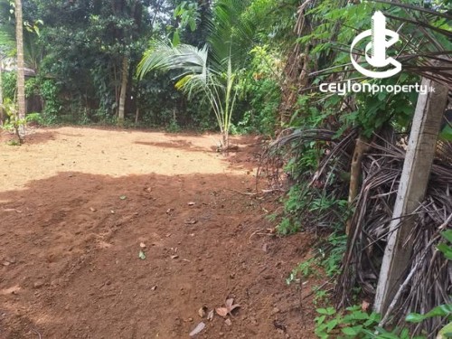 Land for Sale in Homagama - 10 Perch Land for Sale – Magammana, Homagama