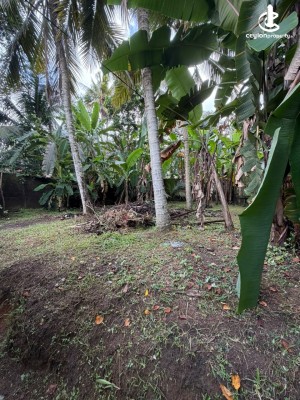 Land for Sale in Kadawatha - Land for Sale – Kirillawala, Kadawatha