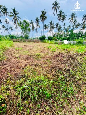 Land for Sale in Badalgama - Land for Sale in Badalgama – Katukenda