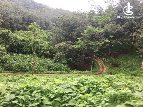 Land for Sale in Padukka - Premium Clear-Titled Estate Land for Sale – Meepe, Padukka