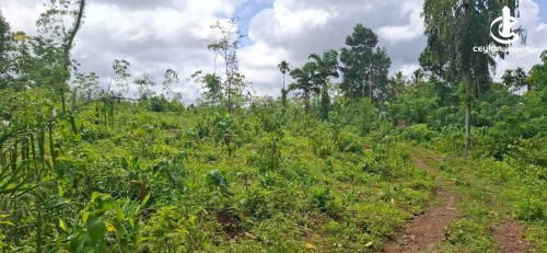 Land for Sale in Kalutara - 4.5 Acres of Land for Sale – Kalutara / Dodangoda