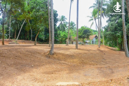 Land for Sale in Gampaha - Commercial Land For Sale in Gampaha