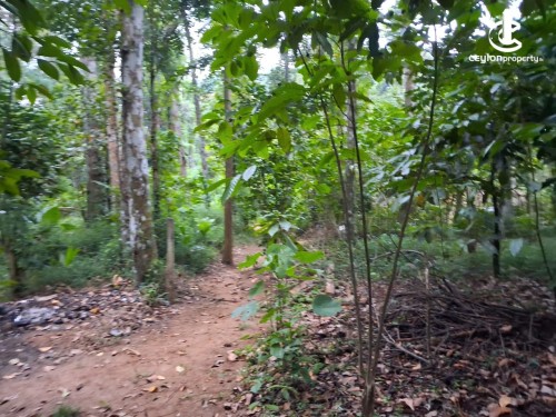 Land for Sale in Kandy - Residential Land for Sale – Kandy