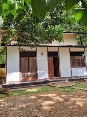 House for Rent in Nawala - 04 Bedroom 02 Storied House For Rent In Koswatta (A2533)