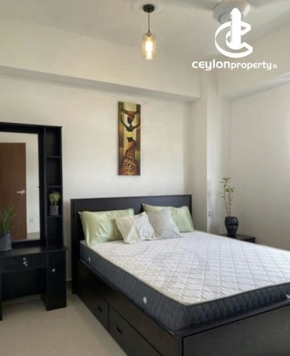 Apartment for Rent in Colombo 8 (Borella) - Oval View - 03 Bedroom Furnished Apartment for Rent in Colombo 08 (A4565)-RENTED