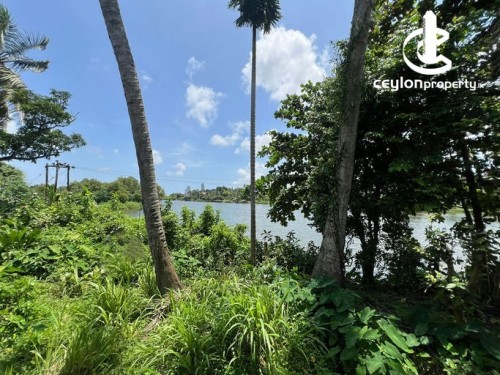 Land for Sale in Battaramulla - Land for Sale - 50 Perches in Battaramulla (A2055)