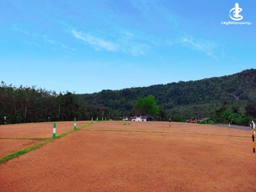 Land for Sale in Kalutara - Land for sale in Horana