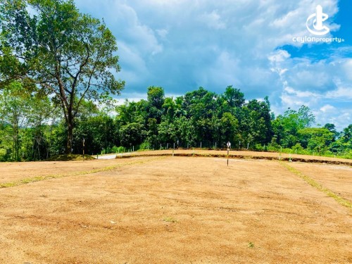 Land for Sale in Kalutara - Land for sale in Horana