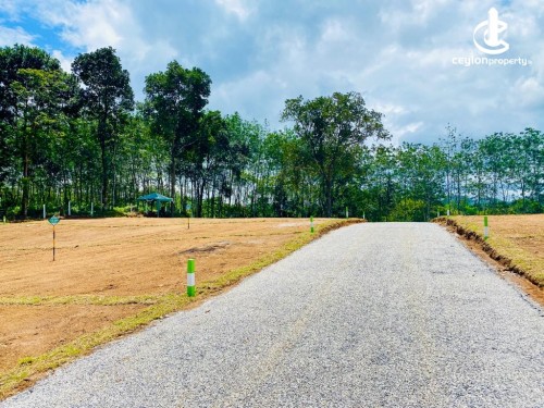 Land for Sale in Benthota - Land for sale in galle road