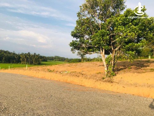 Land for Sale in Galle - Available land for sale Kosgoda