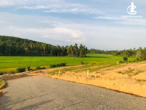 Land for Sale in Galle - Available land for sale Kosgoda