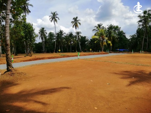Land for Sale in Colombo 1 (Colombo Fort) - Land for Sale Near to Piliyandala