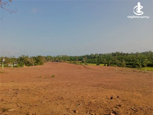 Land for Sale in Colombo 1 (Colombo Fort) - Plots For Sale In - Padukka
